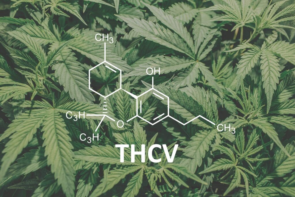 THCV symbol in front of marijuana plant
