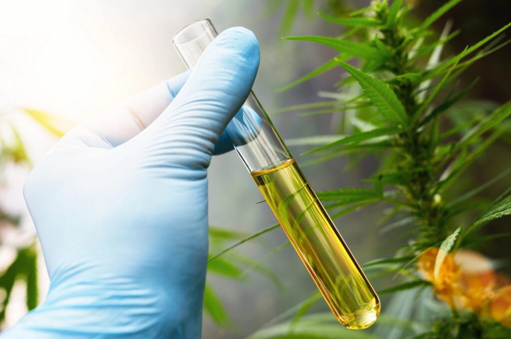 Hand holding vial of oil beside cannabis plant