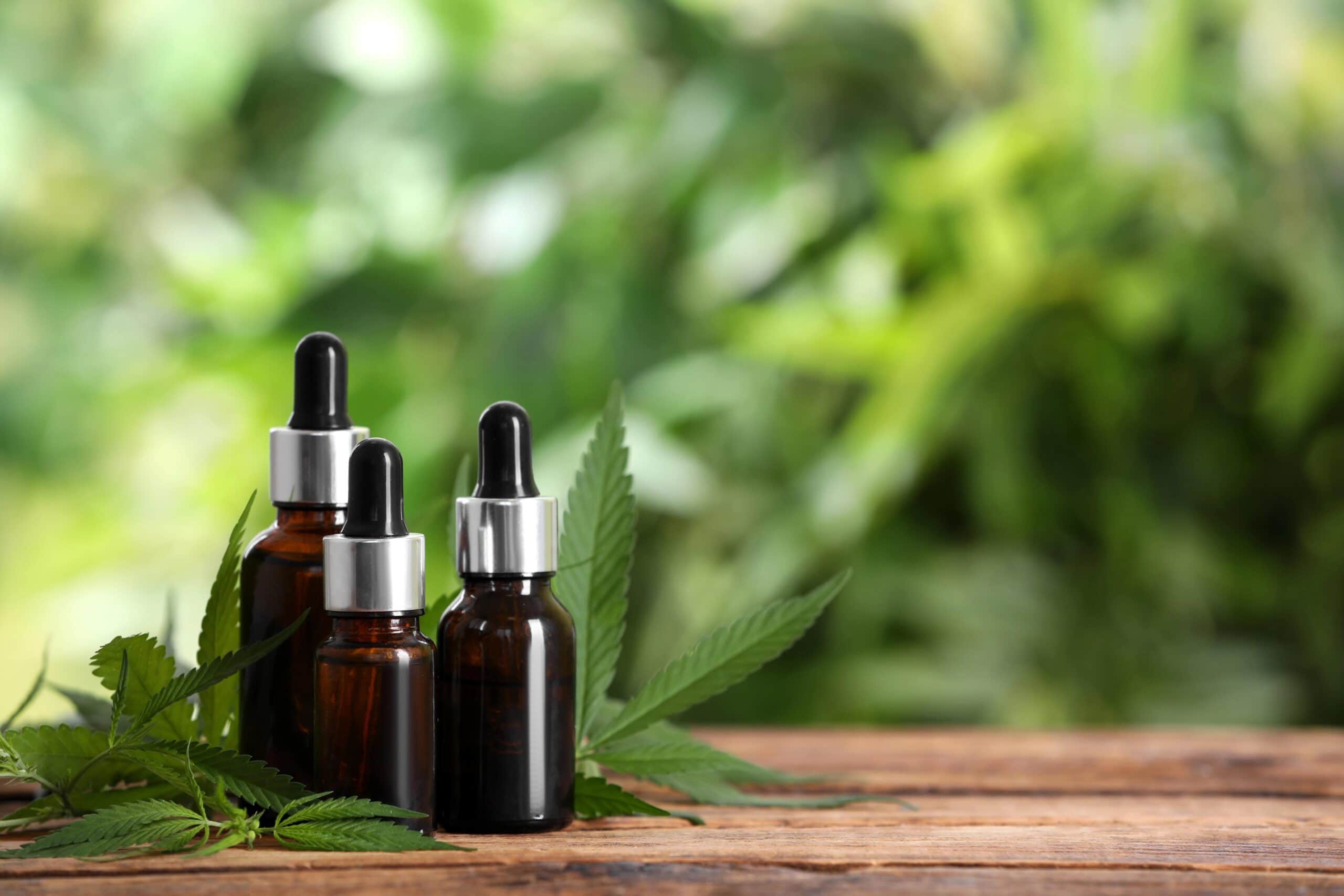 Three small bottles of CBD oil, hemp plant