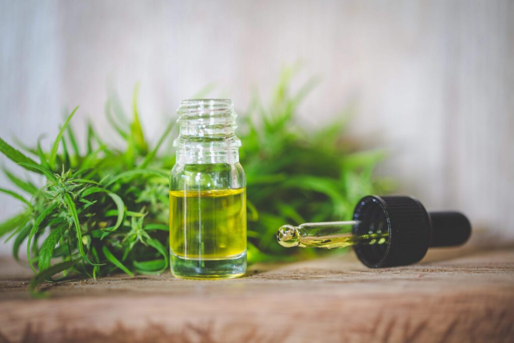 CBD oil in small bottle, dropper, cannabis