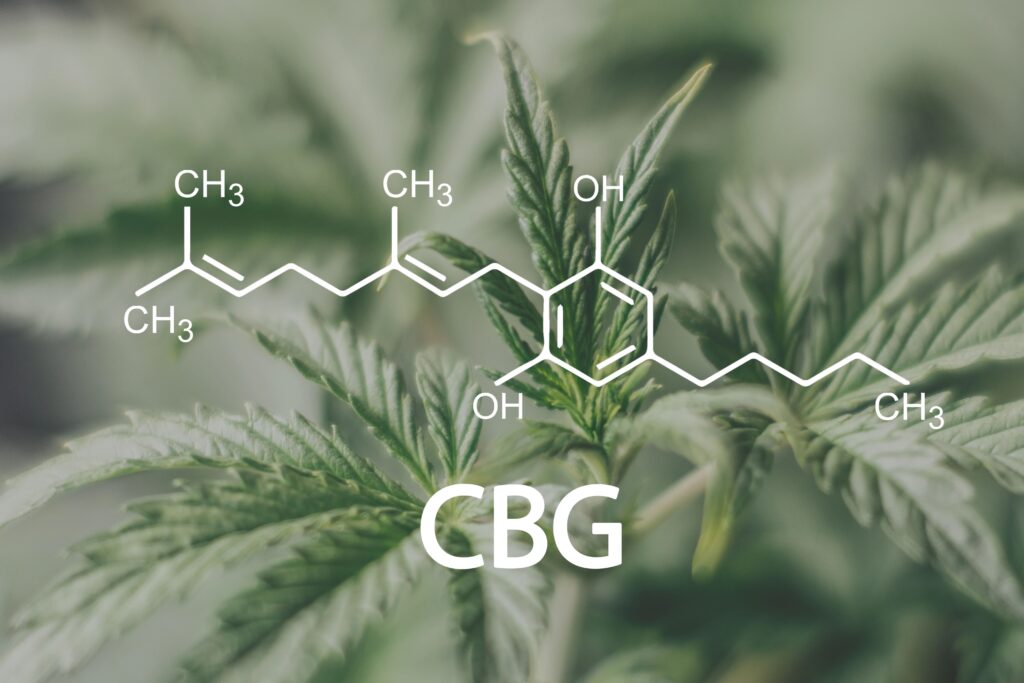 CBG symbol atop picture of hemp plant